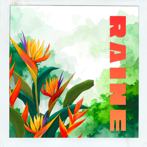 Sticker Set